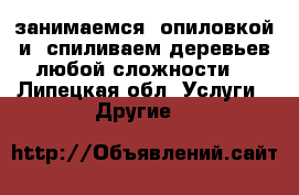 занимаемся  опиловкой и  спиливаем деревьев любой сложности. - Липецкая обл. Услуги » Другие   